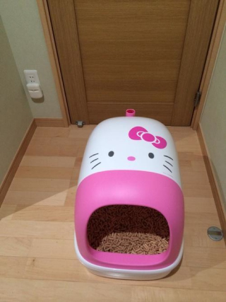 Illustration for article titled A Hello Kitty Toilet Just for Cats